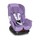 ���������� Bertoni Concord (���������� ����)